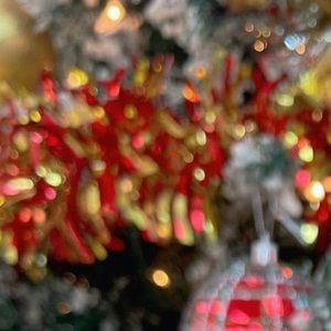 Meet your Posher, Corynn